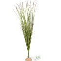 Terrario - Artificial plant for terrarium and aquarium - High grass 15x7x41 cm